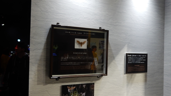 f0231709_09195511.jpg