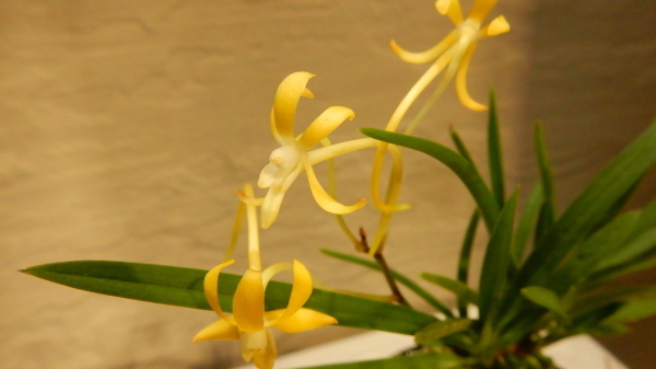 f0231709_09220677.jpg