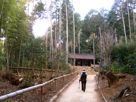 　　天王山　ハイキング_a0164011_21223244.jpg