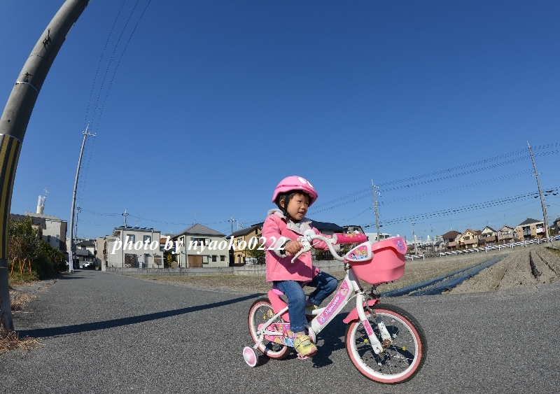 自転車デビュー_e0365414_17183421.jpg