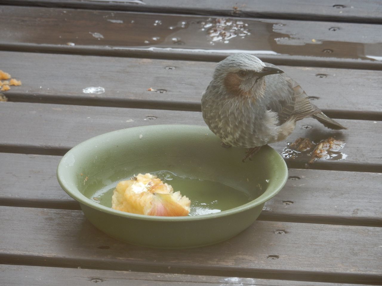 まだ寒さが続きます_c0025115_22411670.jpg