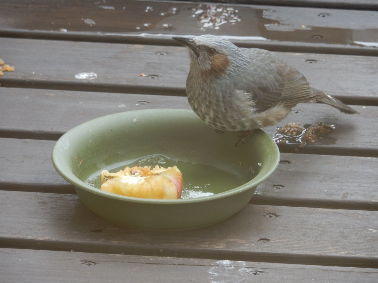 まだ寒さが続きます_c0025115_22451063.jpg