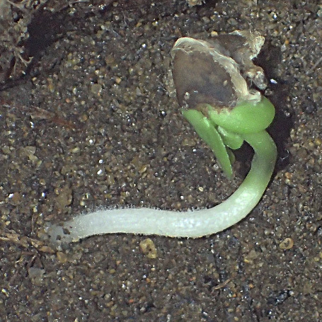 c0190915_19145746.jpg