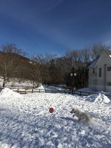 c0114121_055663.jpg