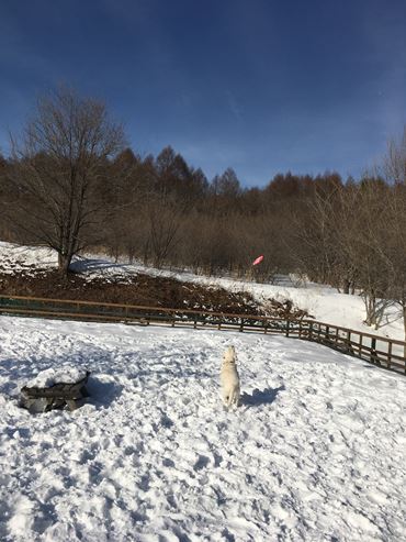 c0114121_075395.jpg