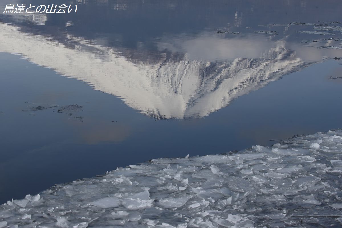 e0139623_20405239.jpg