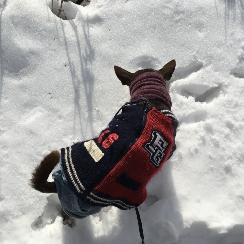 a0291132_13294724.jpeg