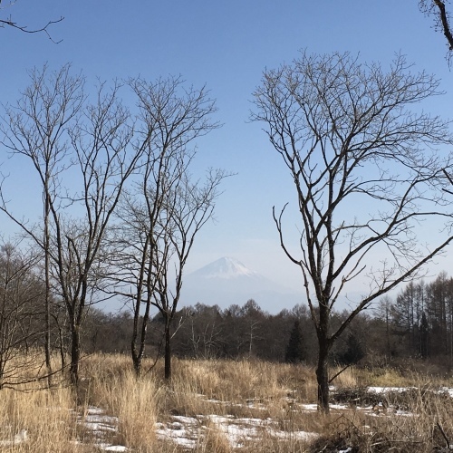 a0291132_13301675.jpeg