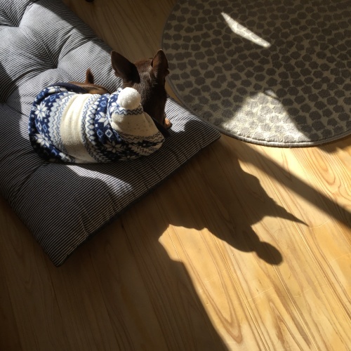 a0291132_13440222.jpeg
