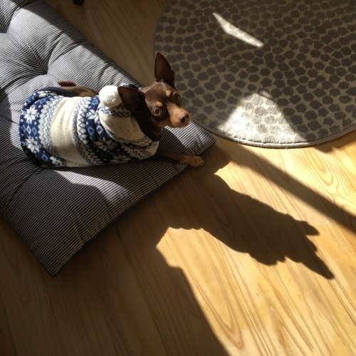 a0291132_13441923.jpeg