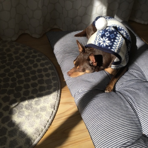 a0291132_13451786.jpeg