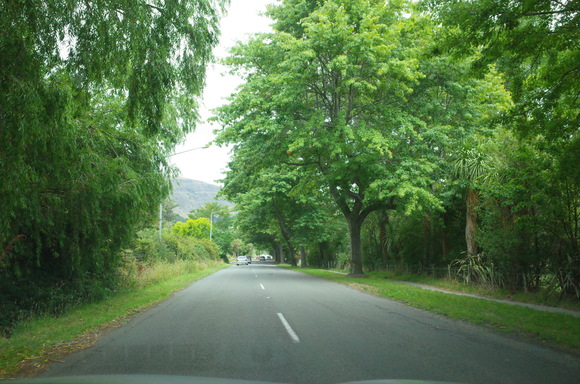 a0287336_23395675.jpg