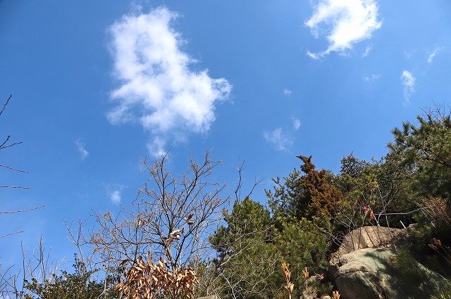 a0242438_20293003.jpg