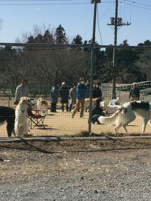 b0369239_10211087.jpeg