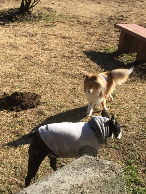 b0369239_10241351.jpeg