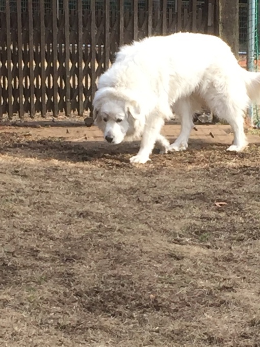 b0369239_10311189.jpeg