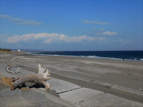 b0220251_04565246.jpg