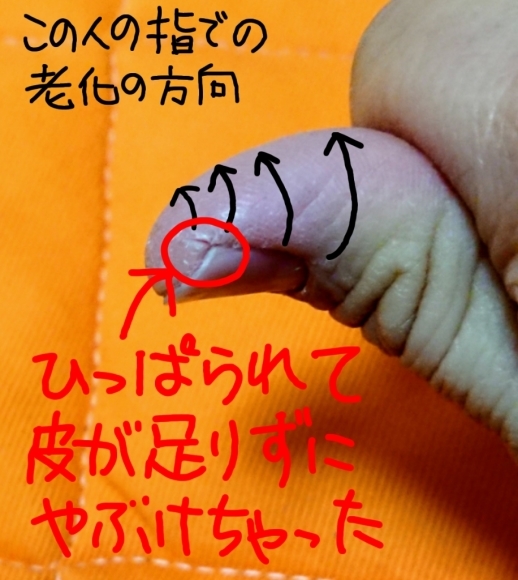 d0367751_22412906.jpg