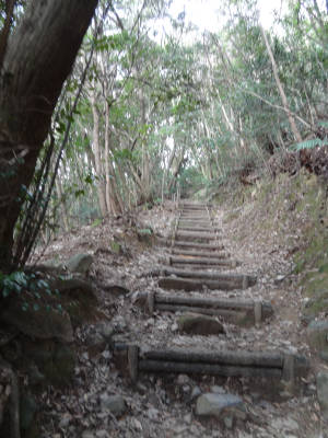 e0033751_1727228.jpg