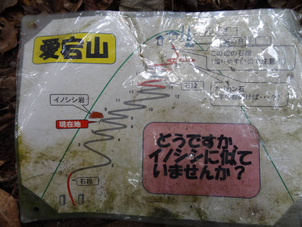 e0033751_1727297.jpg