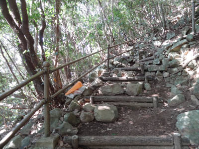 e0033751_172735.jpg