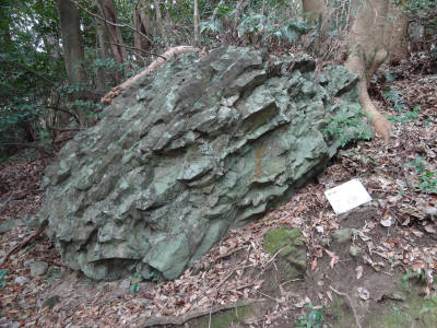 e0033751_172761.jpg