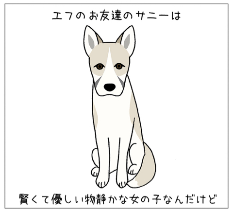 エフ漫画(番外編)『犬と飼い主は顔が似る？』_c0033759_23502309.jpg