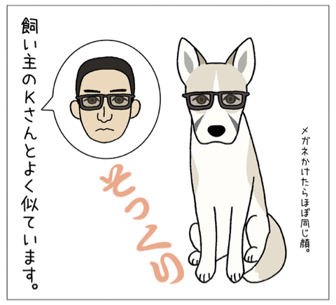 エフ漫画(番外編)『犬と飼い主は顔が似る？』_c0033759_23502494.jpg