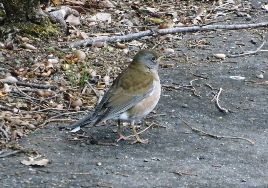 f0059673_23184871.jpg