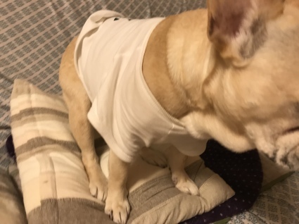 d0048577_18293100.jpeg
