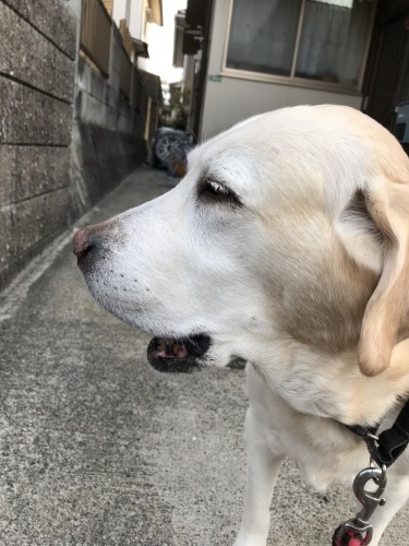 f0315081_22372192.jpeg