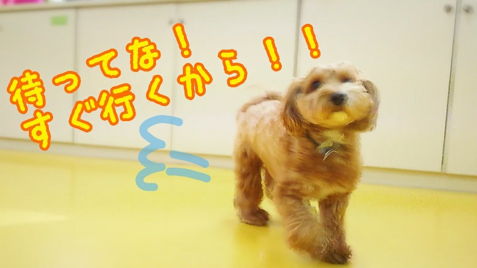 カメラ大好き!_f0357682_12355064.jpg