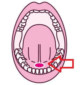 e0135287_10374739.png