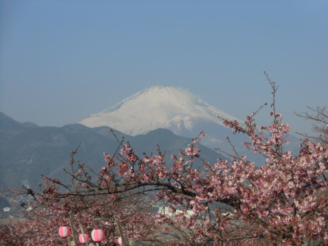 e0114588_14113533.jpg