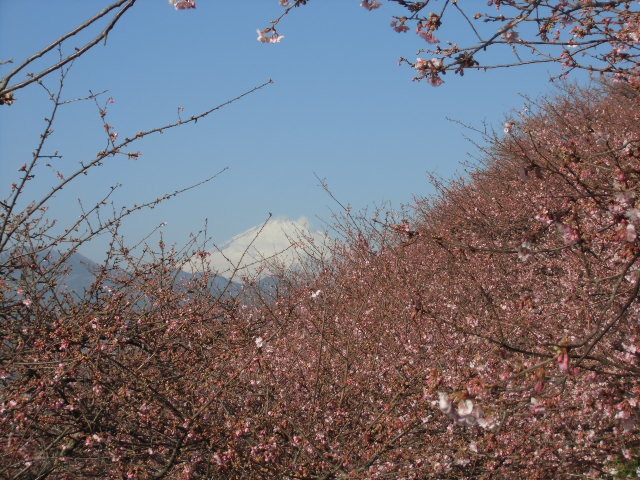 e0114588_14121442.jpg