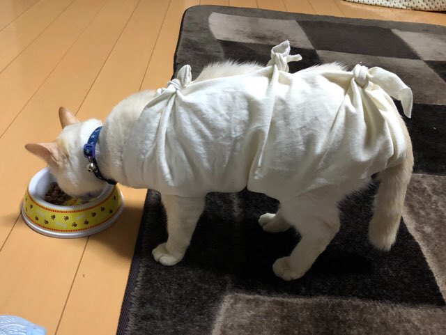 b0035391_23322565.jpeg