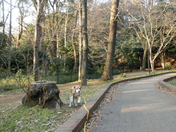 a0319693_8184857.jpg