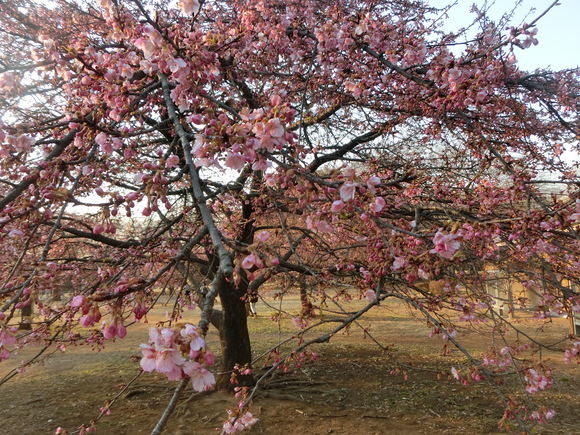 a0319693_820021.jpg