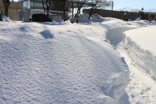 米沢キャンパスの朝、２月 ２２日_c0075701_10324376.jpg