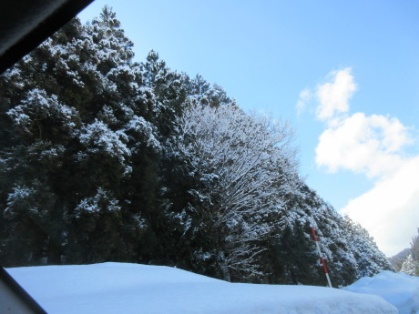a0203003_20554771.jpg