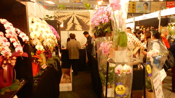 f0231709_08205425.jpg