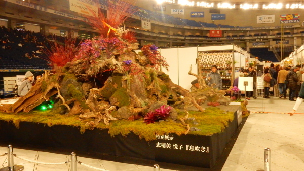 f0231709_08242662.jpg