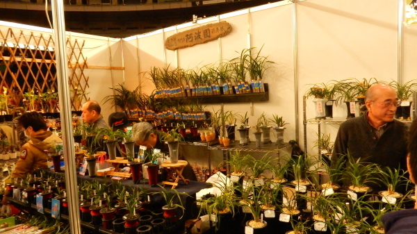 f0231709_08592099.jpg