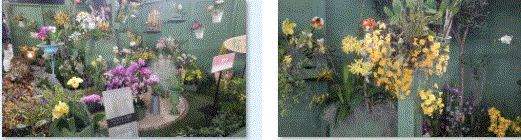 f0231709_09192532.gif