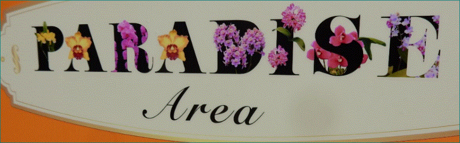 f0231709_09201568.gif