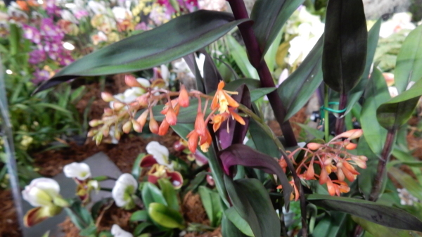 f0231709_09414750.jpg