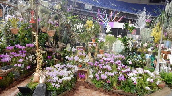 f0231709_09424675.jpg