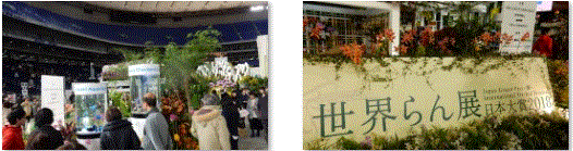 f0231709_09464305.gif