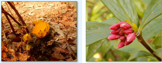 f0231709_10404941.gif