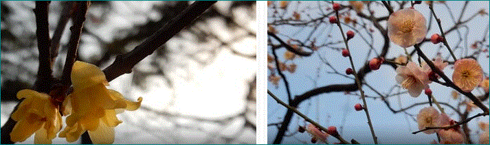 f0231709_11010172.gif
